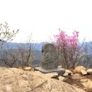 금창초등학교 | 전북 순창 용궐산 3번째 산행 후기와 풍경🍃