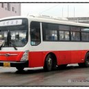 동대리~사곡면 호계리 이미지