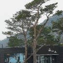 솔내음농장 이미지