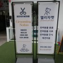 엘리자펫 이미지