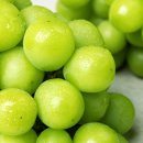 잇츠모텔 이미지