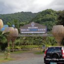 제이에스미네럴 이미지