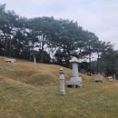 창만5리 이미지