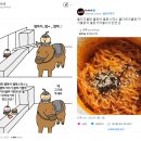 영타코
