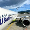 제주아이니 이미지