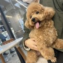 르시앙 수성점 이미지