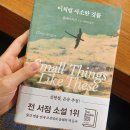 미리쓰는 6월 일상 Ꙭ̮