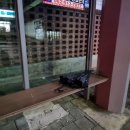 칠분통닭 두암점 이미지