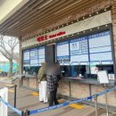 씨사이드 | 인천 강화루지 가볼만한곳 추천 씨사이드리조트 후기