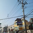 나인 스포렉스 이미지