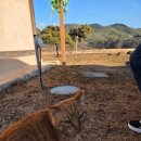 순복음교회 개방화장실 | 크리스마스 겨울 안동 여행 1박2일 안동찜닭 맛집, 부용카페, 자쿠지 한옥숙소 한낮, 월영당 후기