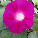 순애농장 이미지