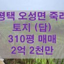 상상초월공인중개사사무소 이미지