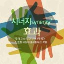 11월4일(화) 츨석부/ 시너지효과 이미지