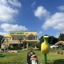 재현농장 | 제주 아이와 가볼만한곳 이색 체험 스위트몽키 카페 후기