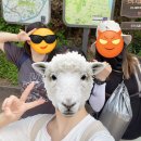 여기산공원 사거리 | 서울 초보 등산 코스 수서역시작 대모산-구룡산 후기