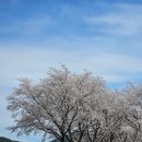 병곡면보건지소 이미지