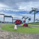 서아목장 | 홍천 소노벨비발디파크 하늘양떼목장 먹이주기 후기+곤돌라가격,입장권가격