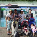 맘스김밥 이미지