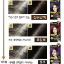리엔 | 올리브영 셀프 염색 한방 염색약 리엔 흑모비책 사용 후기
