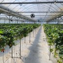 만지원농장 이미지