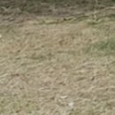 최우식노즈립성형외과의원 이미지