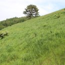 초지로3 이미지