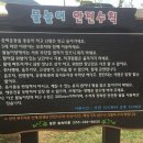 숲속마을아이스크림 이미지