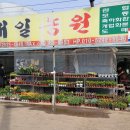 대일농원 이미지