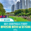 지방천 | [용인 생활] 물 맑은 용인 정평천에서 진행한 2022 풍덕천2동 동민의 날 걷기 대회!