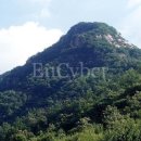 운장산해마루캠핑 이미지