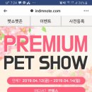 프리미엄펫 이미지