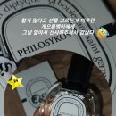 필로시코스 스튜디오