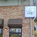 더 건강한 매일