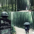 추성주유소 이미지