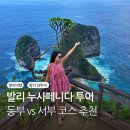 동부산악권 투어 2 | 발리 누사페니다 동부 서부 투어 비교 소요시간 후기