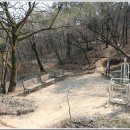 시민의 솟음길 이미지