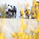 해미칼국수 이미지