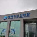 호산나수선
