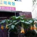 초원탕 이미지