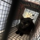 지에스25 용산퍼스트 이미지