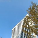 숭례문수입상가 이미지