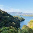 게으른 악어 이미지