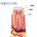 더샵치과