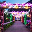 엽이오락실 이미지