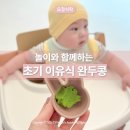 완두콩맘 | 초기 이유식과 놀이가 함께하는 시간 : 완두콩