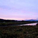 순천만습지 이미지