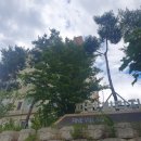 파인빌리지 이미지