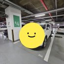 공영무역(주) | 서울 코엑스 주차장 비교 및 이용후기 (코엑스 주차장, 공영주차장, 모두의 주차장)