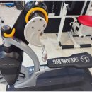 파워짐 휘트니스 이미지